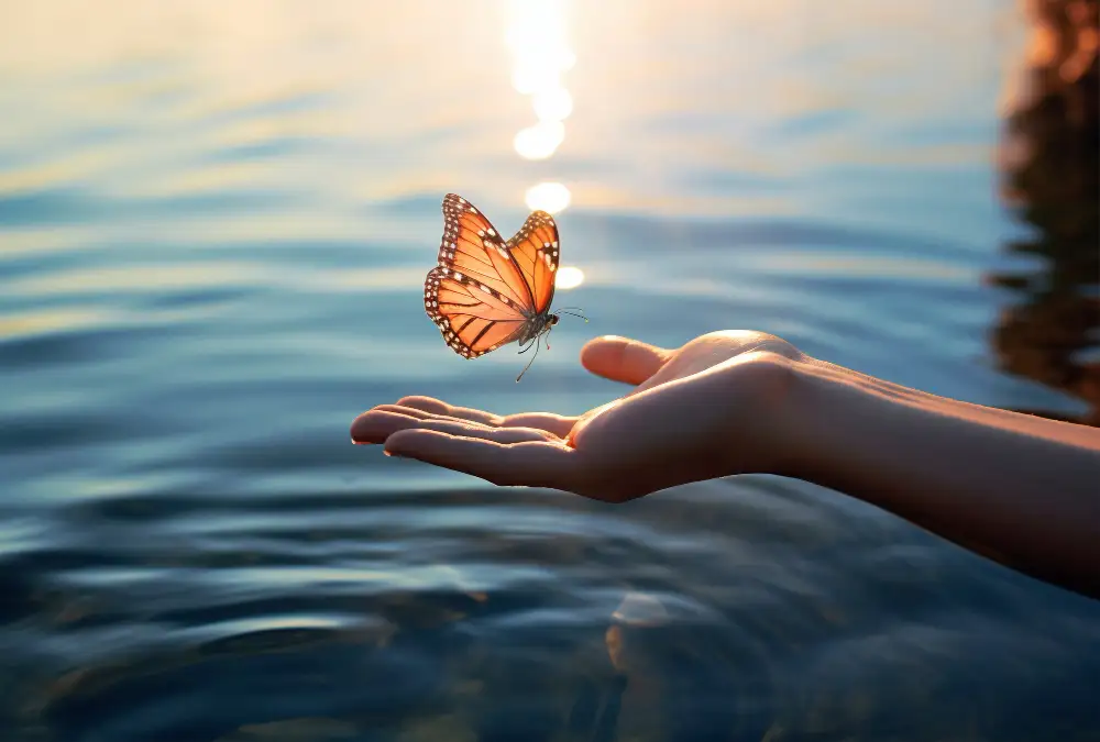 Libre