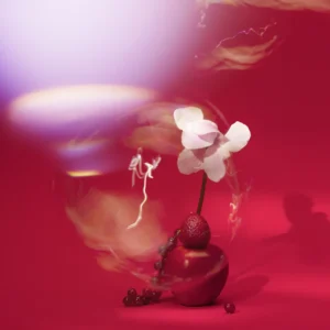 NEYDO Berry Craving 23.06 parfum de niche