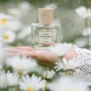 POECILE ROSE LUTECE parfum